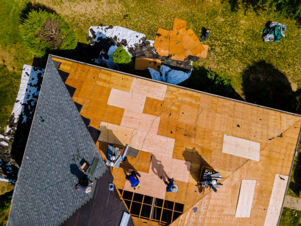 Best Commercial Roofing Services  in Morton, IL