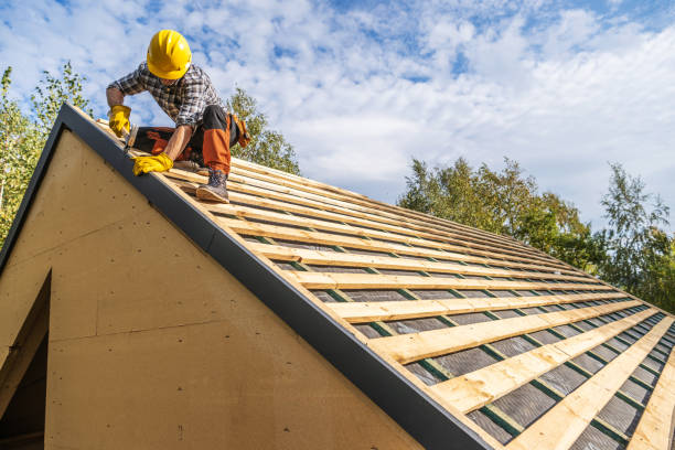 Best Roof Gutter Cleaning  in Morton, IL