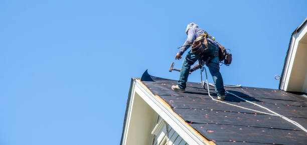 Best Gutter Installation and Roofing  in Morton, IL